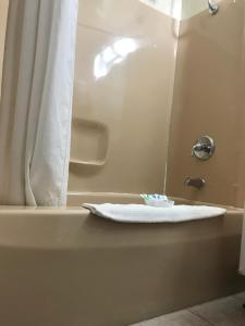 Marinette马里内特经济旅馆的带浴缸和白色毛巾的浴室