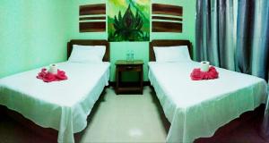圣维森特CHISIPHIL Homestay Port Barton的两张床位于带红色鲜花的房间