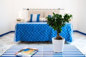 波西塔诺爱赛昂公寓式酒店的坐在桌子上的盆栽植物