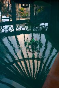 布尔日圣博内剧院酒店的水中植物的反射
