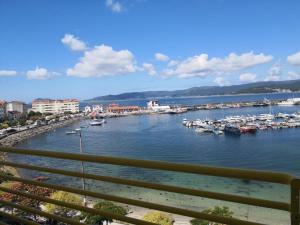 波尔托辛Hostal Portofino的享有海港和水中船只的景色