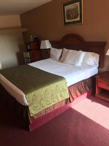 温泉城温泉城三叶草汽车旅馆的一张大床,位于酒店客房内