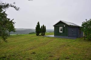 塔尔西Tiny house Ružēni的绿树成荫的田野上的一座绿色小建筑