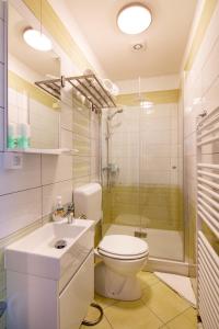 PodgradRooms Šajina的浴室配有卫生间、淋浴和盥洗盆。