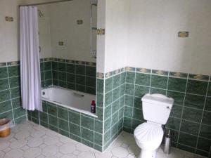 弗莫伊科比特苑酒店的带浴缸、卫生间和浴缸的浴室。
