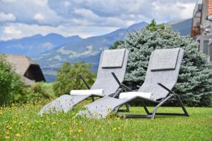 佩尔卡Fuchshof的两把椅子坐在草地上