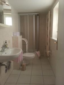 宾茨范斯克别墅公寓的一间带水槽和卫生间的浴室