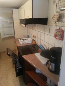 宾茨范斯克别墅公寓的一间带柜台和炉灶的厨房 顶部烤箱