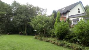 斯旺西Cilbrwyn的一座有房子和灌木丛及树木的院子