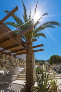 卡罗维西Samian Mare Hotel, Suites & Spa的别墅庭院的棕榈树