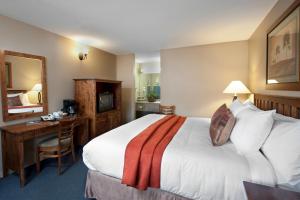 贾斯珀玛琳洛奇酒店的酒店客房配有一张床、一张书桌和一台电视。