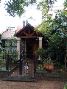 波萨达斯Posadas la hermosa的狗站在房子的大门后面