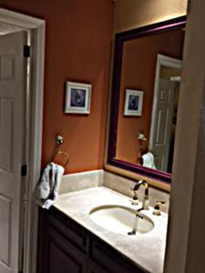 佩尼亚斯科港Sonoran Sea Resort的一间带水槽和大镜子的浴室