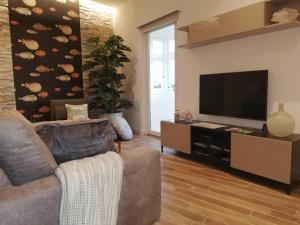 科斯皮夸Three Cities Apartments的带沙发和平面电视的客厅