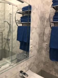 里加Apartment "Flowers"的带淋浴、水槽和蓝色毛巾的浴室