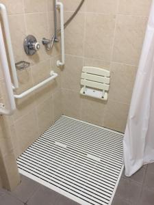 特里姆城堡拱门酒店的浴室内有排水管,有淋浴