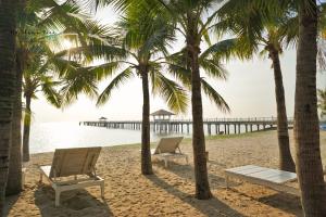 邦盛卡萨鲁纳尔棒桑别墅的海滩上两把椅子和棕榈树,设有码头