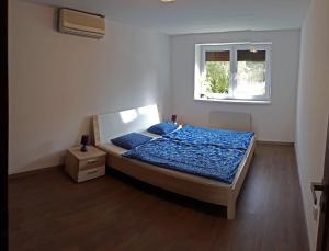 塞内奇TopSenec-Lakeside Home的一间卧室配有一张带蓝色床单的床和一扇窗户。
