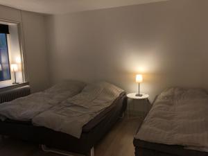 齐斯泰兹Hel lejlighed Thisted Midtby的卧室内的两张床,配有台灯