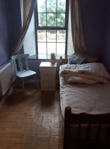 凯尔斯Castletownmoor Clinic & Permaculture Farm的卧室配有床、椅子和窗户。