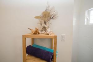克拉伦代克Appartement bonaire的一张小木桌,上面有动物