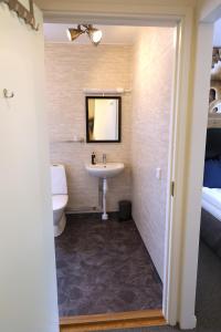 科斯塔Kosta Lodge的一间带水槽和卫生间的浴室以及一张床