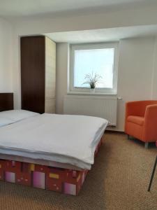 利普托斯基米库拉斯德玛诺瓦238酒店的一间卧室设有一张床、一个窗口和一把椅子