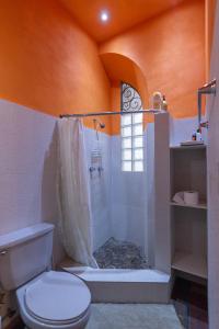 巴拿马城Trendy Apartment in Casco Viejo的一间带卫生间和淋浴的浴室