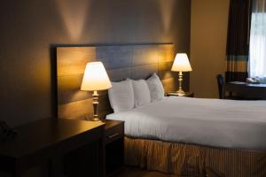 科斯塔梅萨舒适酒店的酒店客房,配有一张床和两盏灯