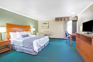 圣何塞圣何塞会议中心戴斯酒店的配有一张床和一台平面电视的酒店客房