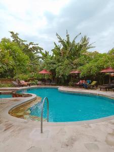 罗威那Rini hotel的度假村内带椅子和遮阳伞的游泳池