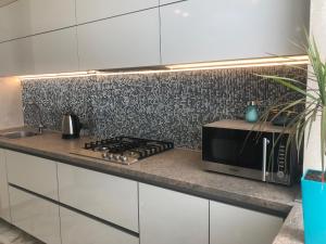 哈尔科夫Luxury Apartment in Downtown, Near River Esplanade的厨房配有炉灶和微波炉。