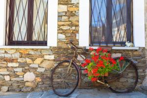 斯特雷萨B&B Il Folletto del Lago的停在石墙旁的自行车,放着一篮鲜花