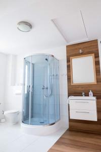 新托梅希尔薰衣草庭式旅馆的一间带玻璃淋浴和水槽的浴室