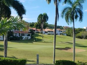里奥格兰德Holiday Home at Rio Mar的享有棕榈树高尔夫球场的景色