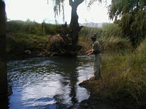 克拉伦斯Royal Coachman的一个人站在一条河里,跟鱼站在一起
