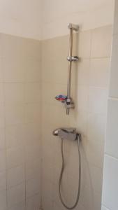 瓦加杜古Hôtel Les Palmiers的浴室内带软管的淋浴