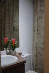 奇廉Edificio Parque Almagro的浴室配有水槽、卫生间和浴帘