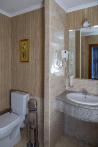 阿拉木图欧亚大酒店 的一间带卫生间、水槽和镜子的浴室