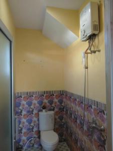万隆Runia Lembang的一间带卫生间和淋浴的浴室