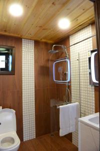莱什顿Dream house的带淋浴、卫生间和盥洗盆的浴室