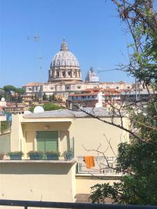 罗马圣彼得度假屋的享有建筑背景的大教堂景色