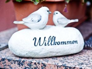 托特瑙贝格Haus Keller Ferienwohnungen的两只白鸟坐在岩石上
