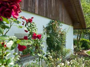 SonnenFerienhof "Schoppa-Haisl"的墙上长着红玫瑰