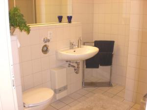 青斯特Achtern - Diek - am Strand的一间带水槽、卫生间和镜子的浴室