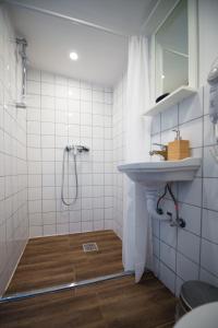 布达佩斯切斯康姆旅馆的一间带水槽和淋浴的浴室
