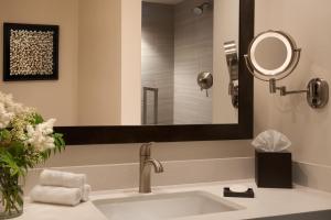 安克雷奇安克雷奇湖畔酒店的一间带水槽和镜子的浴室