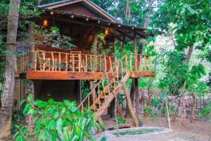 丹不拉girilena resort的树林中的树屋,有木楼梯