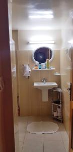纳布勒多加公寓的一间带水槽和镜子的浴室