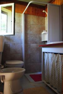 兰恰诺L'albero delle noci的带淋浴、卫生间和盥洗盆的浴室
